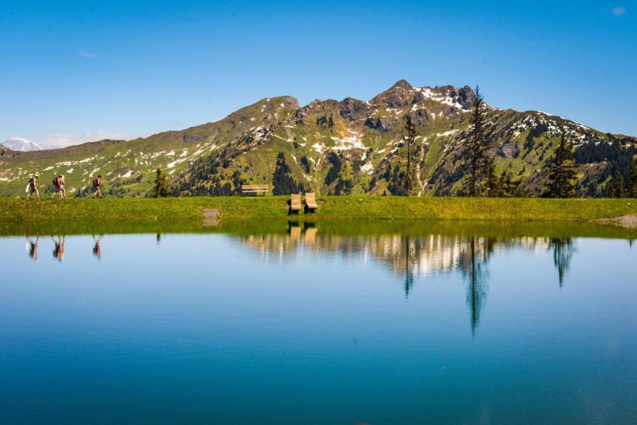 Alpen Apartment The View バート・ホーフガシュタイン エクステリア 写真
